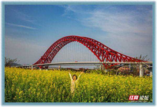 多机位赏株洲首座双层湘江大桥，哪个角度最好看？