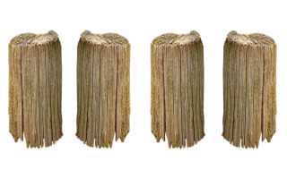 海曙教育局发布民办学校补录公告 两校共有119个空余学额