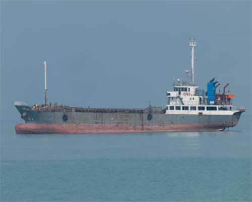 龙粤“牵手”助力东北经济振兴