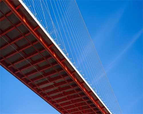 喜讯|鲁基商业荣膺青岛市民营领军标杆企业