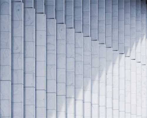 小说：女子独战黑熊上演荒野求生，杀死黑熊后从其体内获取至尊石