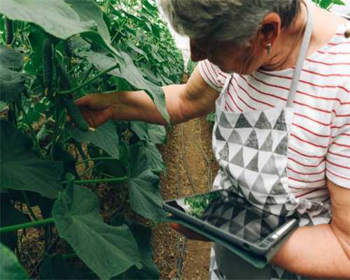 西山居CEO邹涛：我家最大的开销就是玩游戏，我老婆至今不知道我花了多少钱