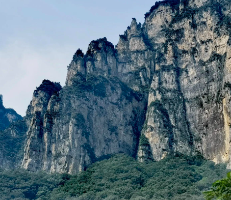 溢价21.2% 湘西经开区学院路一商住地以8556万元成交