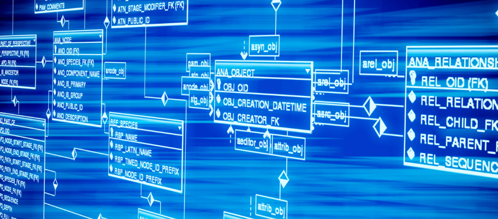 中国海洋石油(00883)上涨5.05%，报19.96元/股