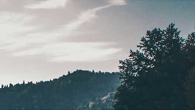 如何快速区分面包产品种类？